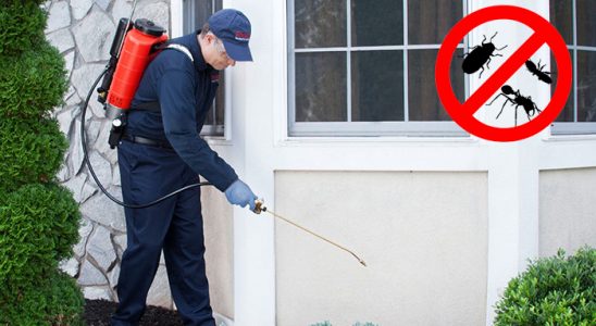 Beşiri Dezenfeksiyon böcek ilaçlama ve haşere kontrolü — ilaclama-tr.com